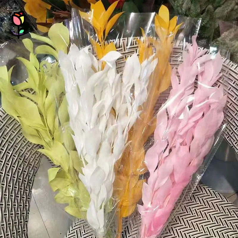 

5pcs Preserved Orange Leaf Natural Lily Leaves Dried Flowers Bouquet Boho Home Garden Decor Christmas Wedding Party Dry Leaves