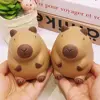 Brown Capybara Squeeze Toy Gift Slow Rebound TPR Squeeze Toys Cartoon Capybara Antistress Decompression Toys Adult 5