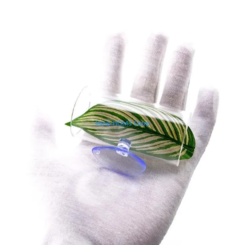 A5YD Bettas Breeding Tunnel Healthy Fish Reproduction Bed Fish Tanks Accessory for Fish and Shrimp Home Tanks Sd08d803c17b840d3ae681de5e8c5f49eJ