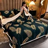 Soft Fluffy Warm Winter Blanket Thicken Lamb's Wool Autumn Warmth Blankets for Bed Milk Velvet Comfortable Sofa Blanket Throw 3