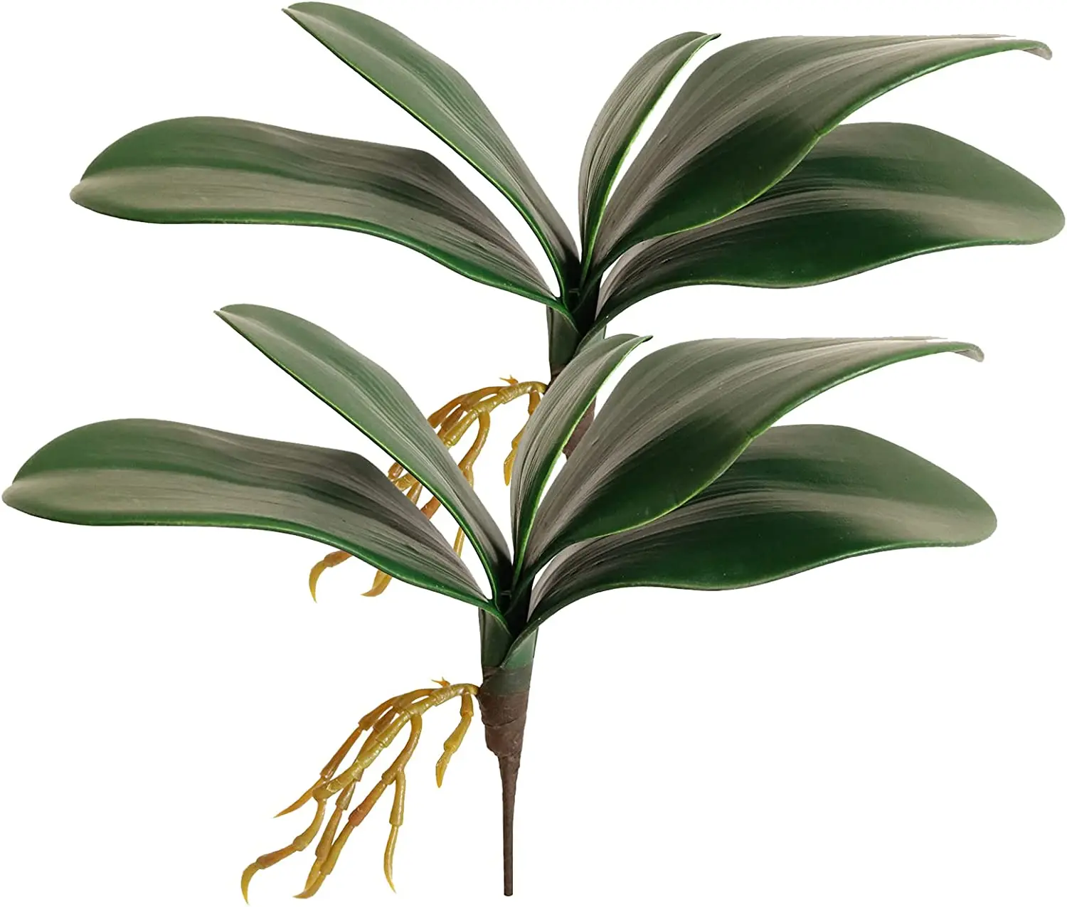 Artificial Phalaenopsis Flores Ramos, Toque Real, Não
