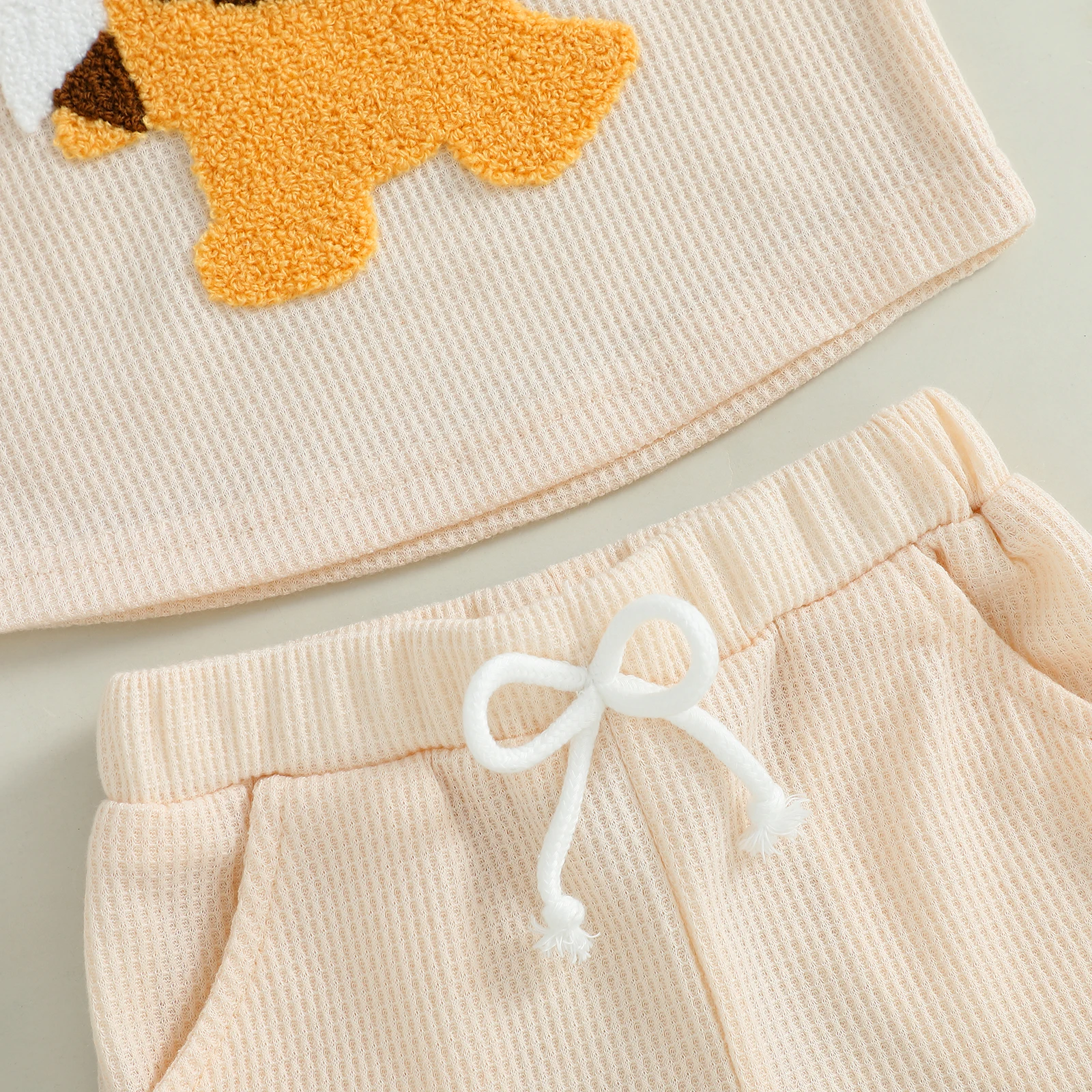 MISOWMNJOY Cartoon Lion Baby Boy Summer Outfits Fashion New Casual Short Sleeve Tops with Elastic Waist Shorts Kids Clothes Set