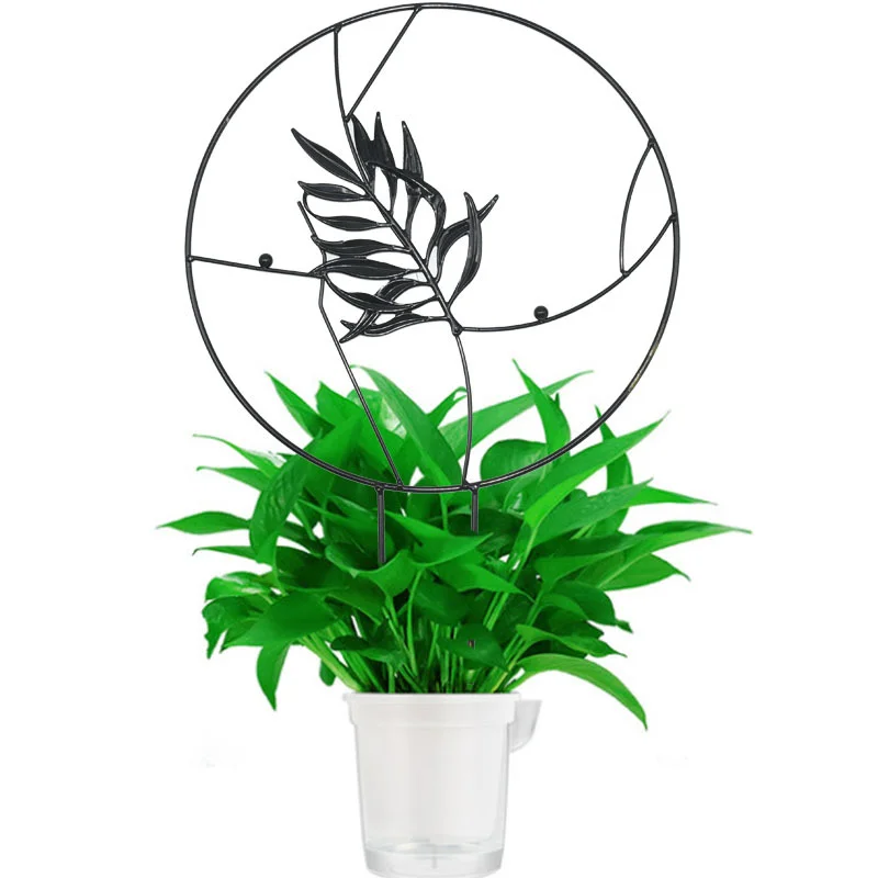 Traliccio Per Piante Rampicanti - 3 Pezzi, In Ferro Antiruggine, Per Vasi E Giardino - Foto 14