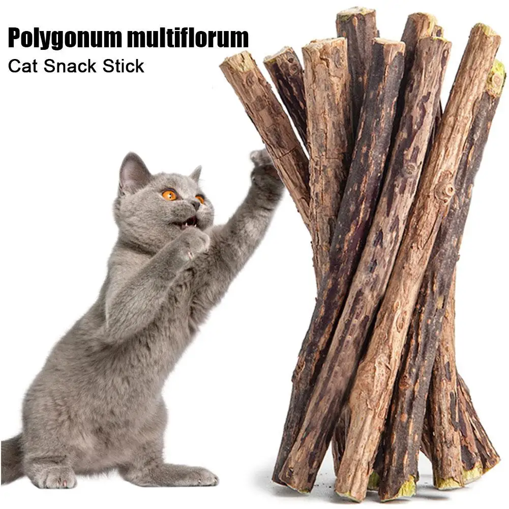 Cat Catnip Sticks Natural Matatabi Silvervine Sticks For Cleaning Teeth Self Healing Cat Snack Stick Kitten Chew Toys U2Y8