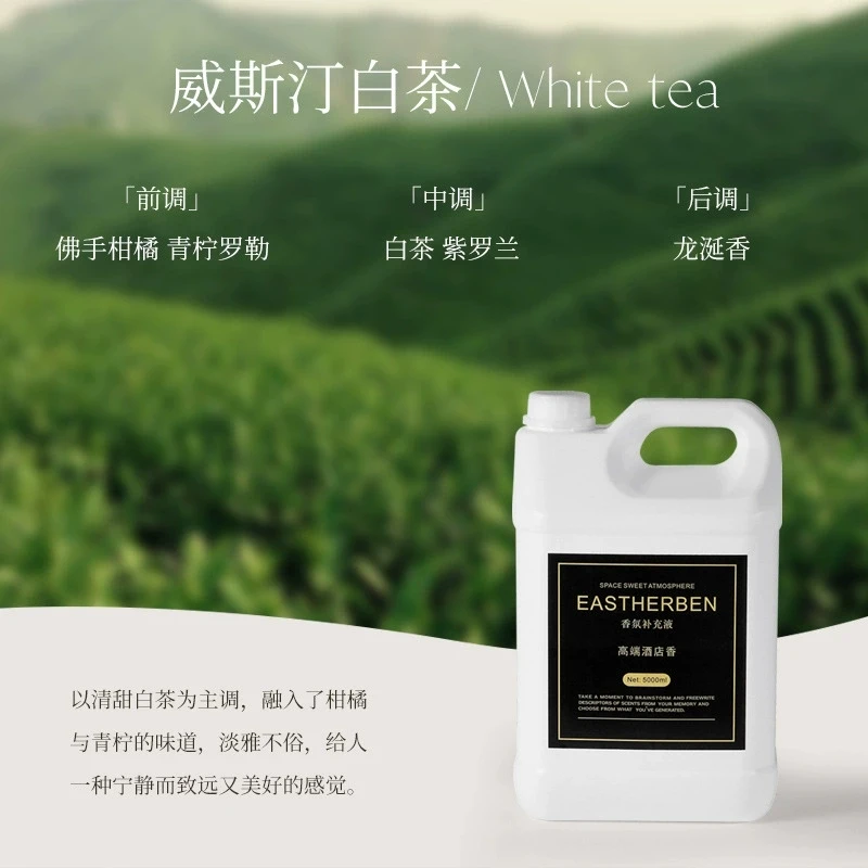 1000ml Essential Oil Refill Aromatherapy Diffuser Fragrance Liquid Galaxy Macau Scents Air Freshener for Home/Office Hot Sale