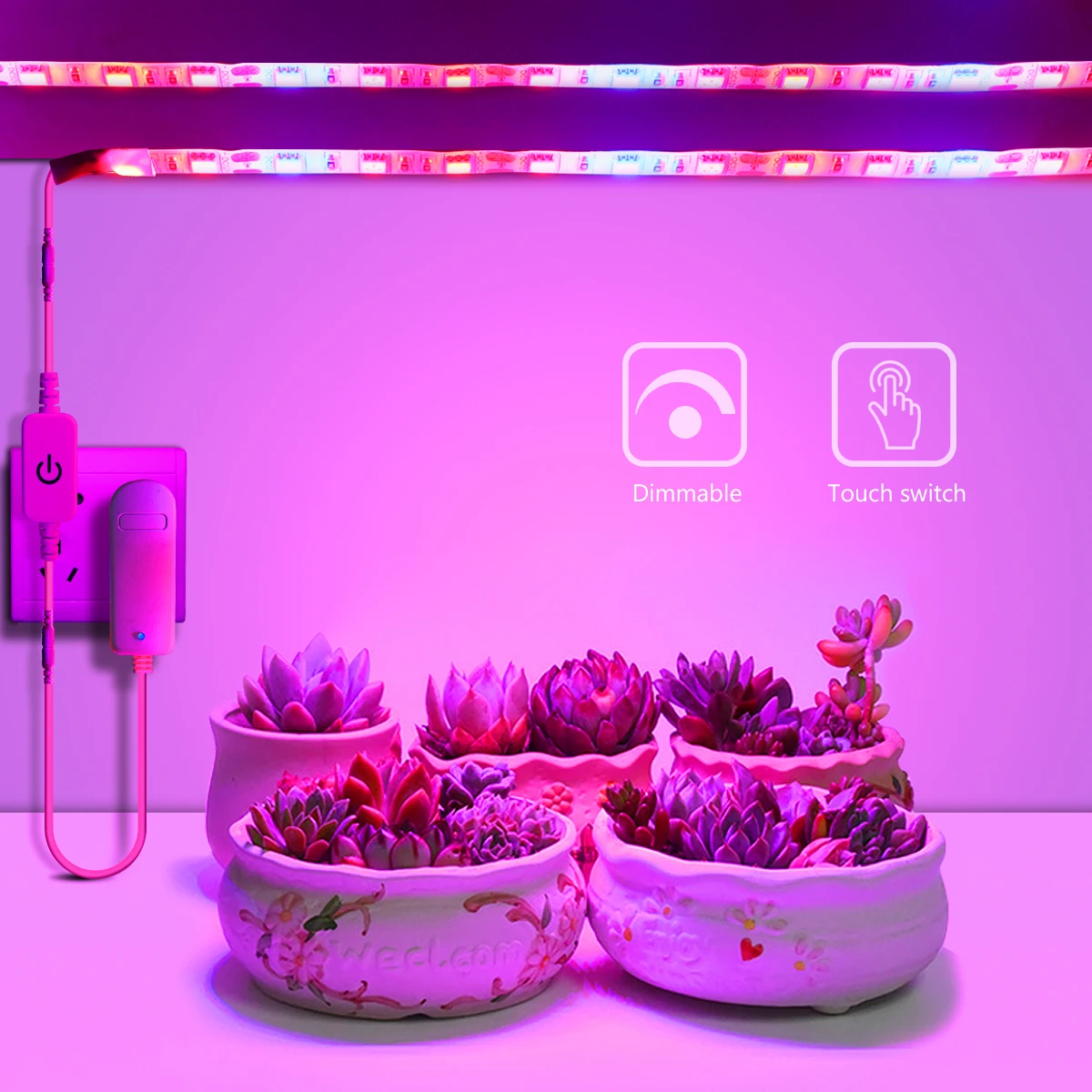 식물 조명 재배 LED 스트립, 5M 터치 스위치, 전체 스펙트럼, 레드, 블루, LED 칩, 온실 꽃 묘목, 수경 텐트