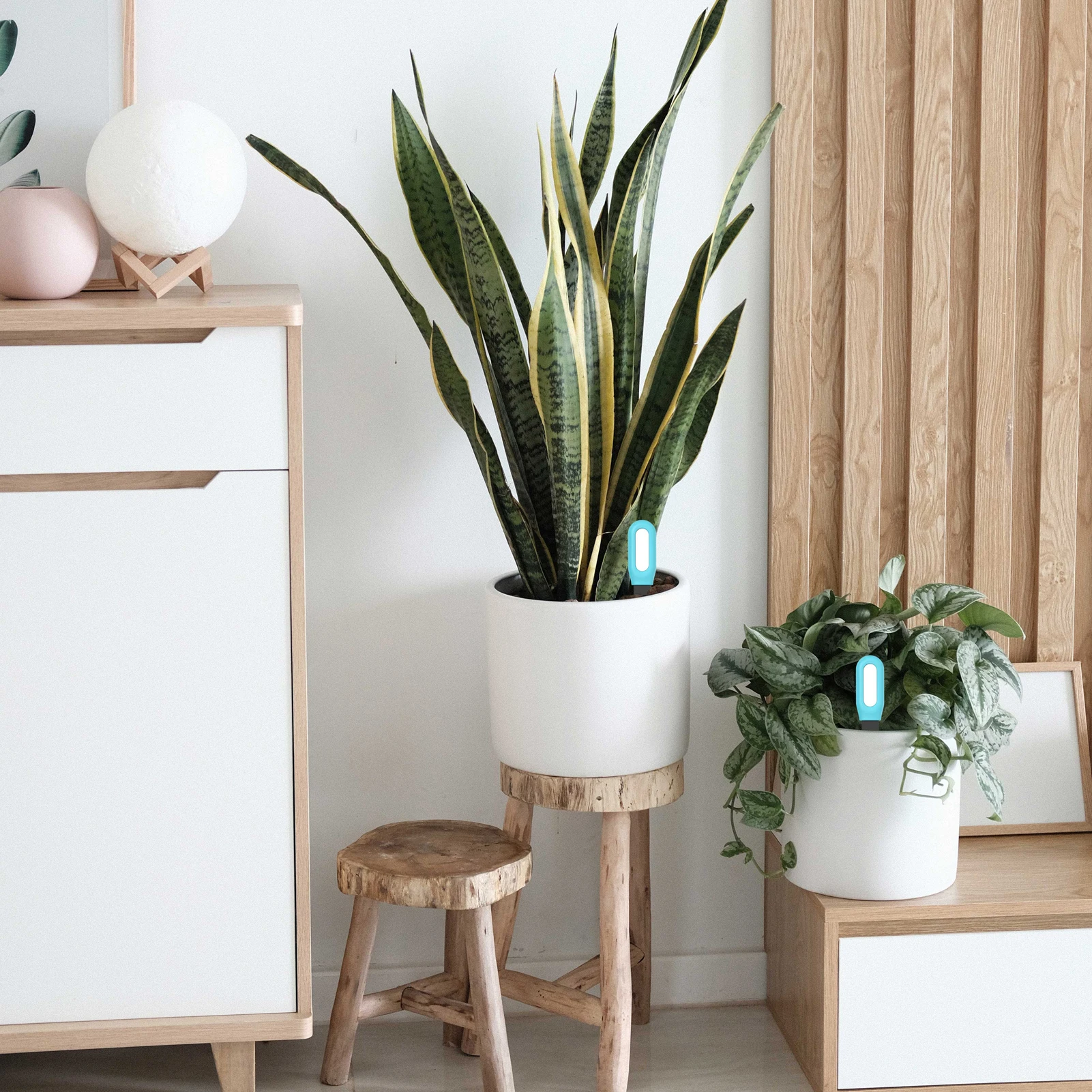 Medidor de Umidade do Solo com Vida Inteligente Sensor de Temperatura e Umidade Tuya Smart Garden Monitor Ferramenta de Teste de Plantas Úmidas - Image 4