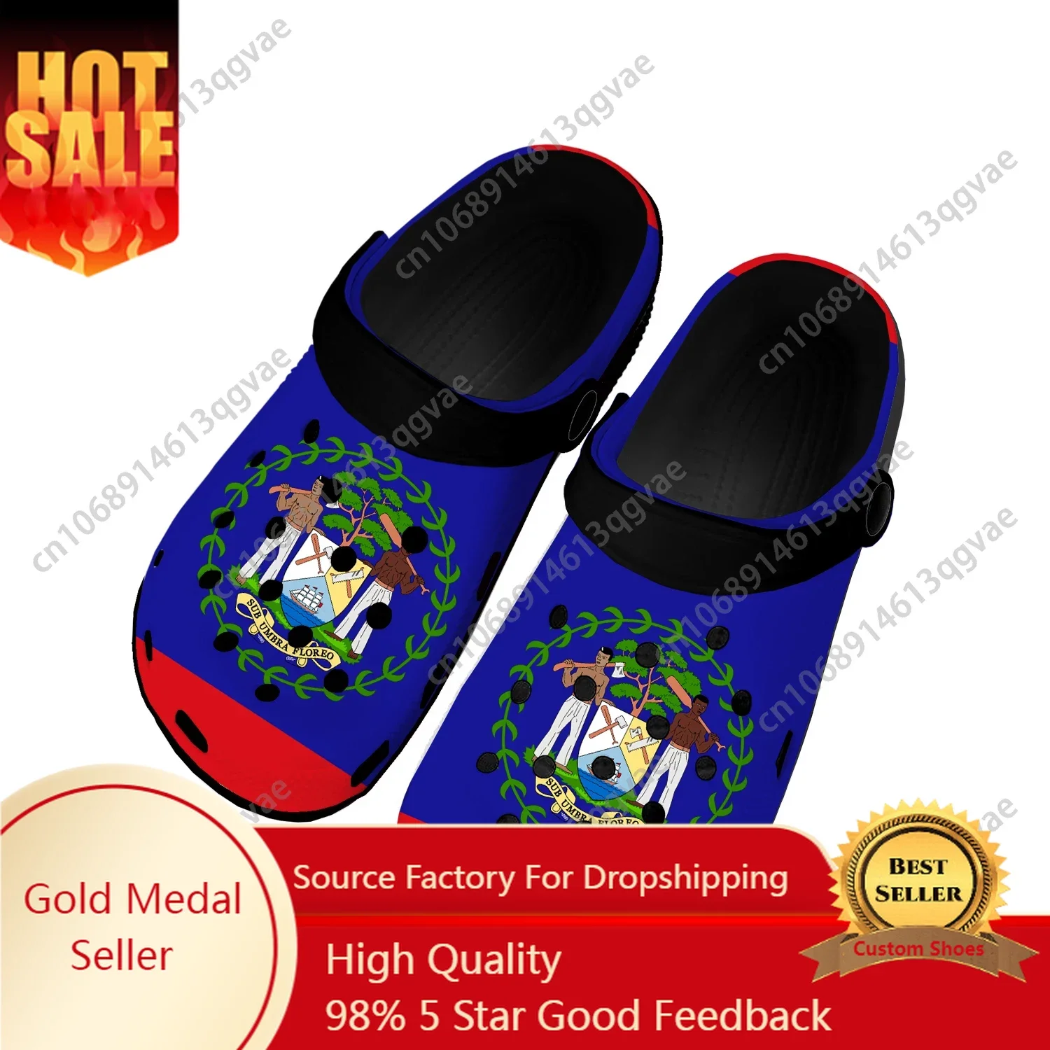 Belizean Flag Home Clogs Custom Water Shoes Mens Womens Teenager Belize Shoe Garden Clog Breathable Beach Hole Slippers