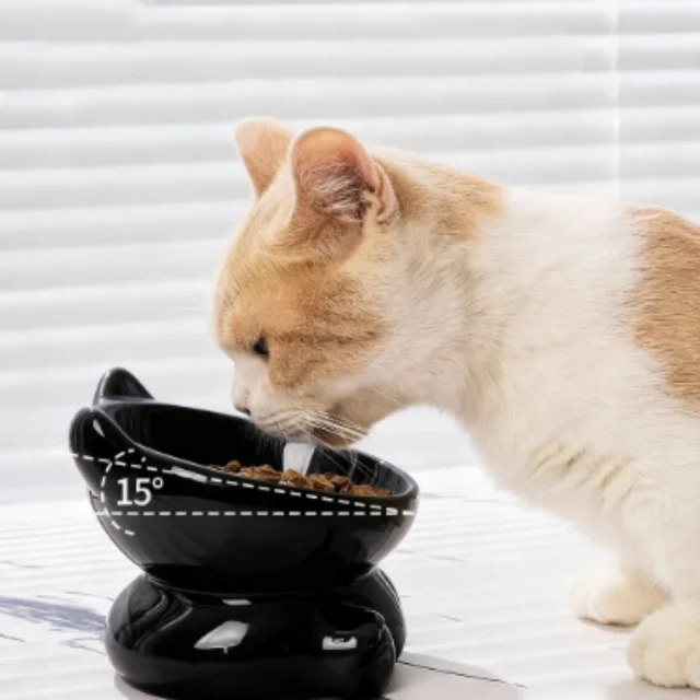 Cat Bowl Pet Accessories Ceramic Diagonal High Feet Cute Protection Cervical Spine Dog Bowl Drink Water Bowl Pet Supplies 4