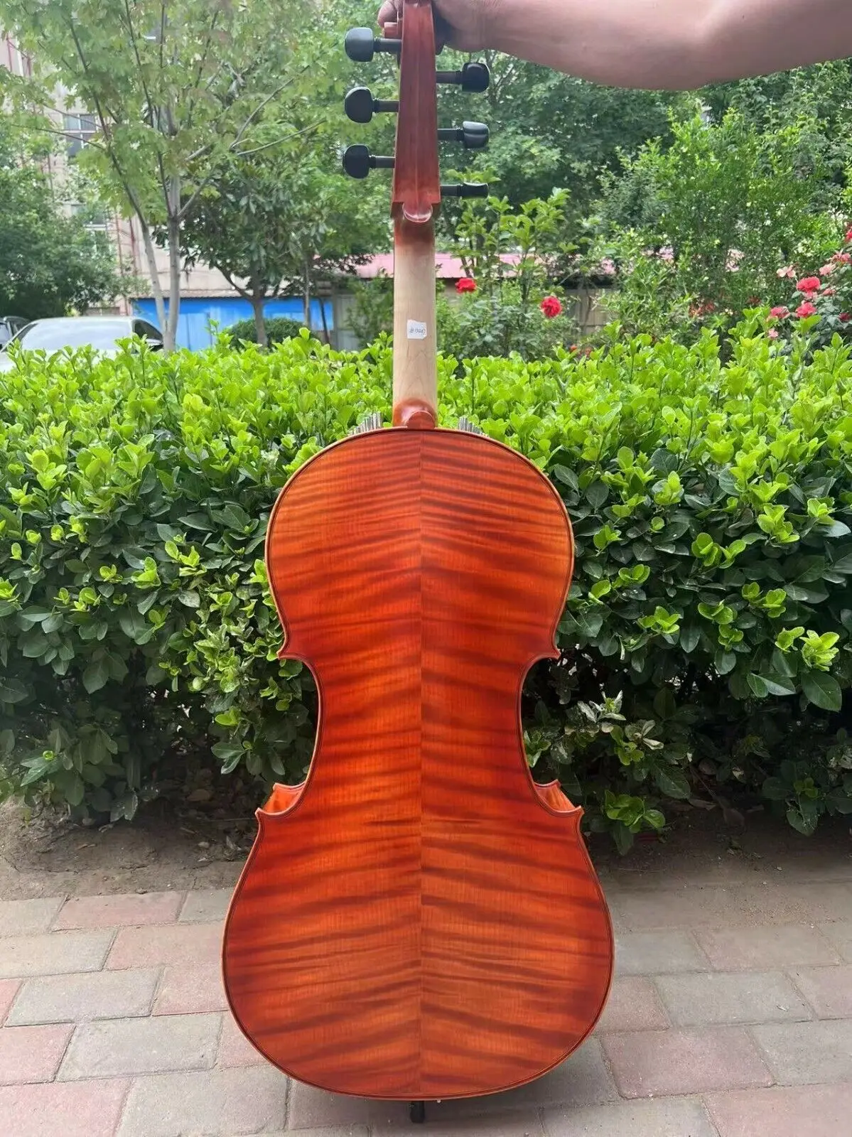 Рисунок 4 - Стандартная коричневая Виолончель-арпегион