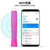 Portable Visible vibrate Digital Video Electronic 480P HD Wifi Colposcope 300W Camera Endoscope Gynecology Self-exam Detection 2