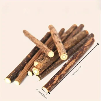 Cat Snacks Sticks 5PCS Cat Cleaning Teeth Pure Natural Catnip Cat Molar Toothpaste Stick Silvervine Actinidia Fruit Matatabi