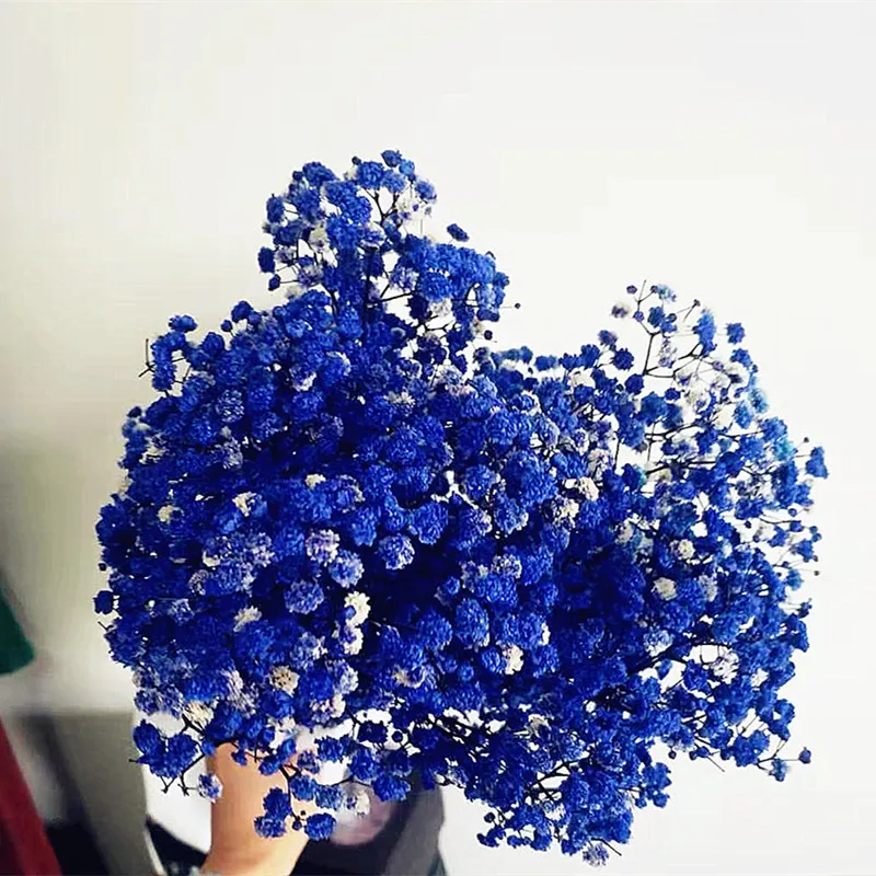 

Flores Secas Hot Blue Gypsophila Dried Flowers New Arrivals In 2023 For Bedroom, Living Room Decoration Valentine's Day Gift