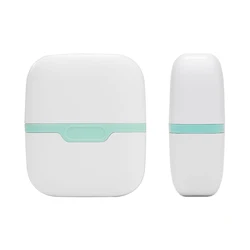 Dual - Head Cooling Therapy Face Ice Roller for Women's Skincare and Massage (Light Green)
