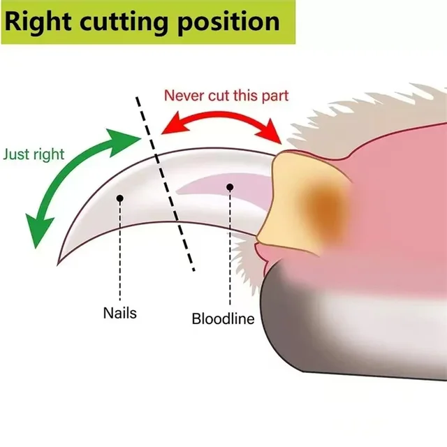 Pet Nail Clippers Wooden Handle Dog Nail Clippers Pet Grooming And Cleaning Tools Pet Nail Clippers 5