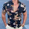 Hawaiian Shirt For Men 2024 3d Print Short Sleeve Blouse Beach Holiday Tops Summer Oversized Lapel Clothing Camisa Masculina 2