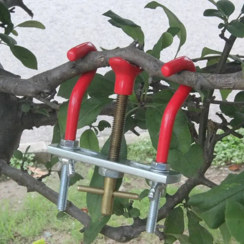 Bonsai Tools The Trees Branch Modulator Trunk Lopper Regulator Repair Grafting Knife Tool Garden Pruner Shears DIY Modeling Tool