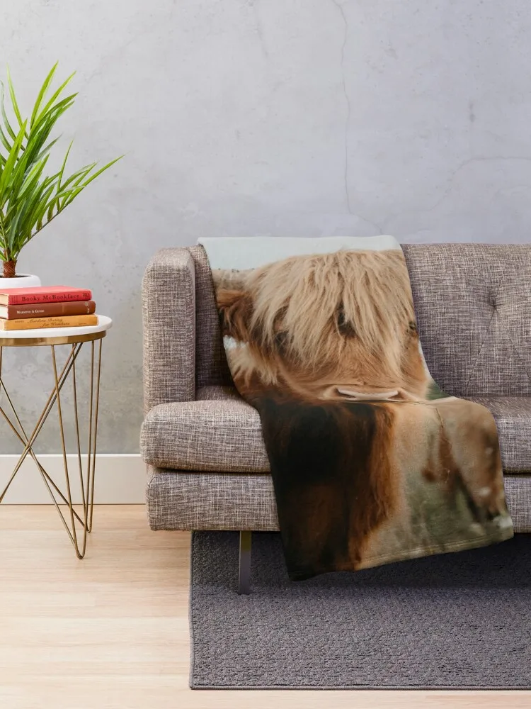 ȣ��� ���� ���̷��� �ϼ� ������ ���, ��Ƽ�� ����, ���ſ� ħ�� ���� ���� ���