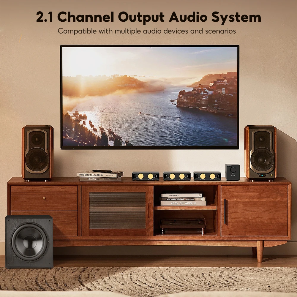 AIYIMA Audio A70 MONO TPA3255 PFFB mono 2.0/2.1/5.1/7.1 Power Amplifier 300W Class D Digital Amp with XLR RCA Trigger Input 6