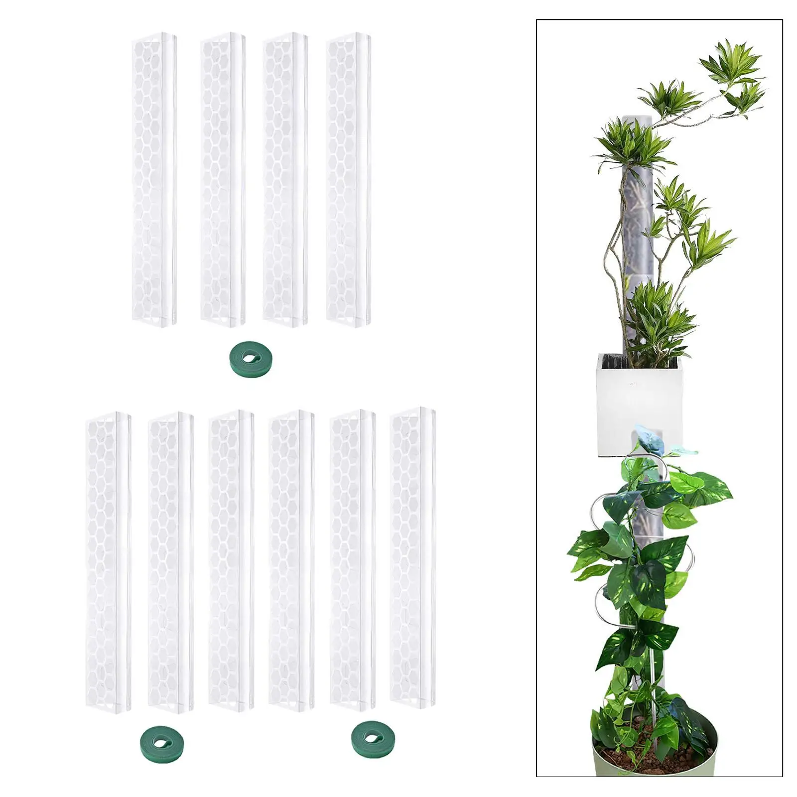 Mosses Pole Set for Plants Clear for Plant Climbing and Growth Indoor Plants