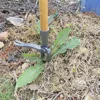 Stand Up Weed Puller Tool with Long Handle 4-Claw Weed Remover Tool Heavy-Duty Steel Garden Hand T Weeding Artifact 5