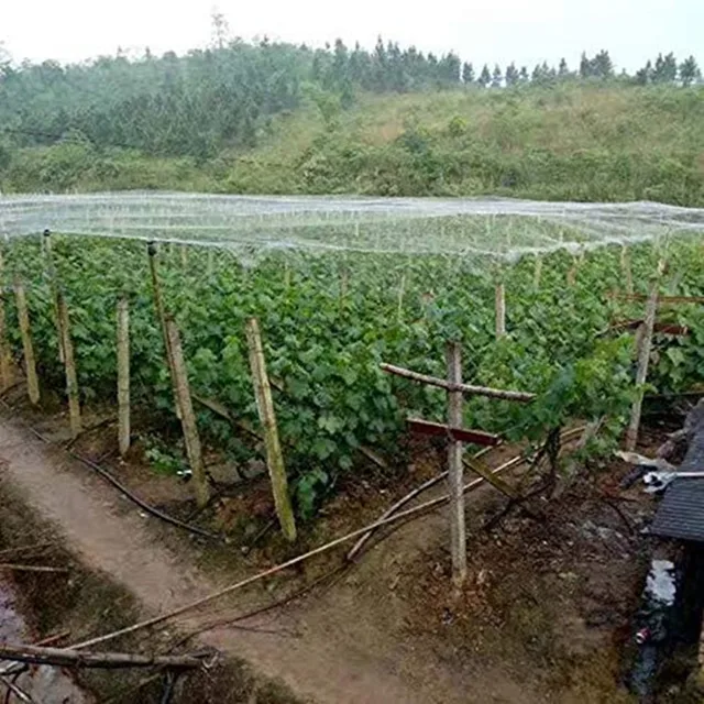 Anti Madárháló Nejlon Kerti Háló 2,5 Mm -Es Gyümölcs Növényi Növények Fa Újrahasznosítható Védelmi Burkolatok A Madárkártya -Vezérlő Ellen - Image 3