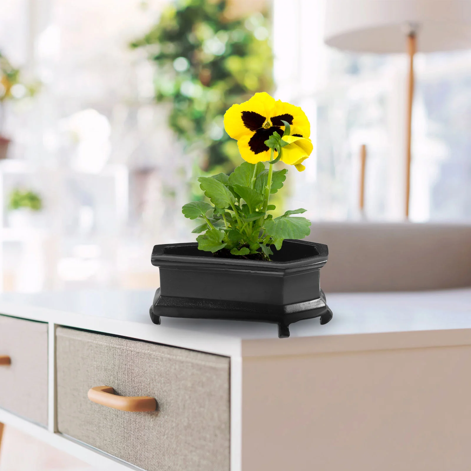 Small Coffin Flower Pot Vase Vases for Centerpieces Artificial Succulent Plants Pots Ornaments 6