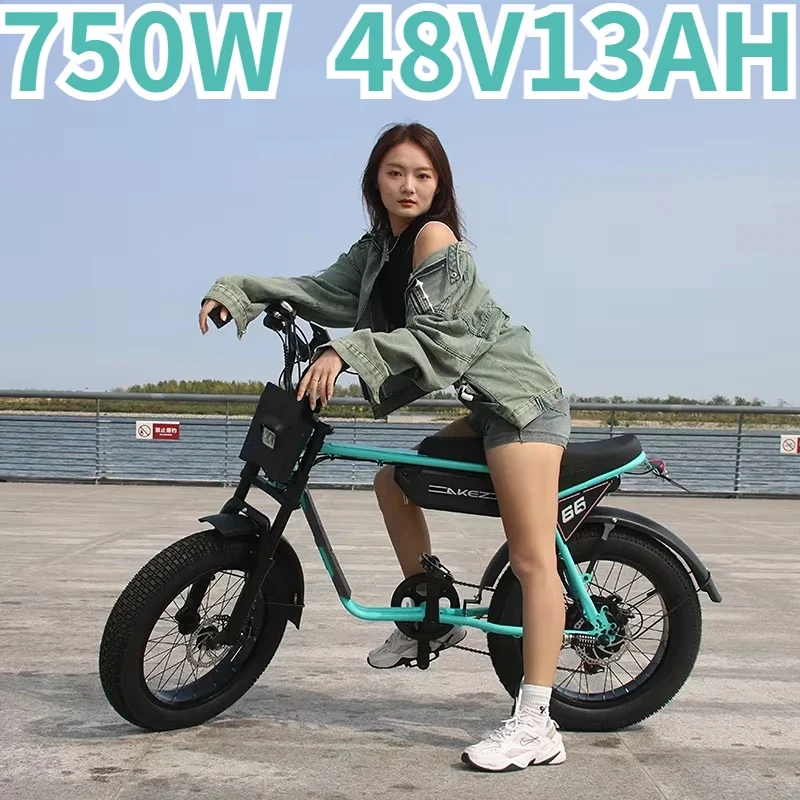Electric bicycle 750W motor 48V13A lithium battery mountain snow e bike adult electric motorcycle 20*4.0 fat tire electric bike