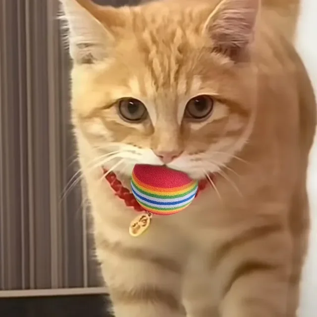 100/10PCS Pet Toy Balls Interactive Rainbow EVA Balls Cat Dog Training Toys Soft Automatic Jumping Balls Pet Playing Supplies 3
