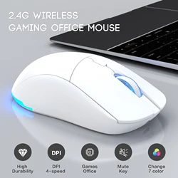 Rechargeable Ergonomic RGB Wireless Gaming Mouse (WHITE)