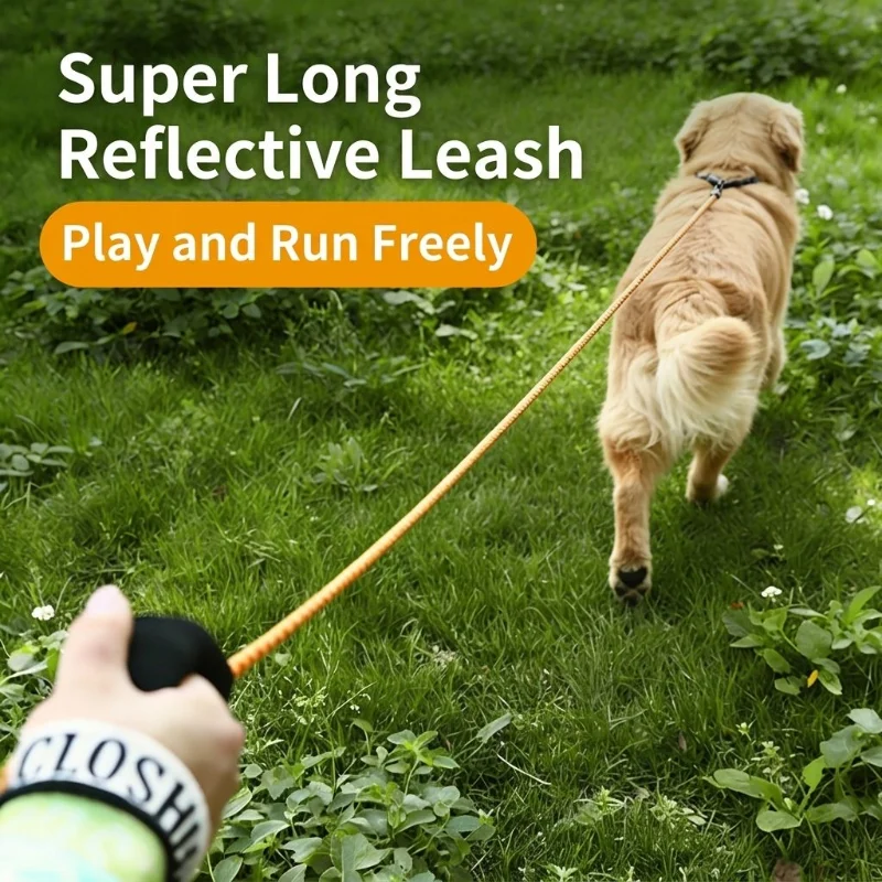 Long Reflective Dog Leash
