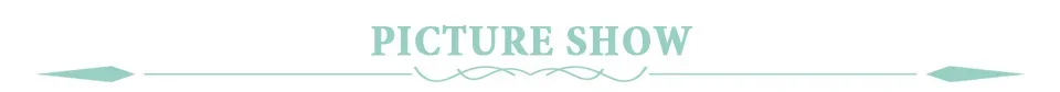 Title 2, Reptile Acrylic Transparent Terrarium Breeding ...
