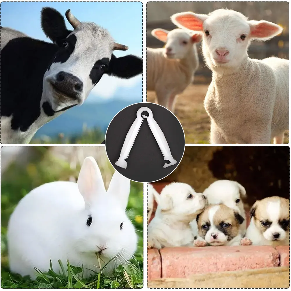 Umbilical Cord Clips for Prevent Pig Cow Sheep Umbilical Stalk Infect Navel Cord Clamp Farm Livestock Breed Pet Animals Suckling 6