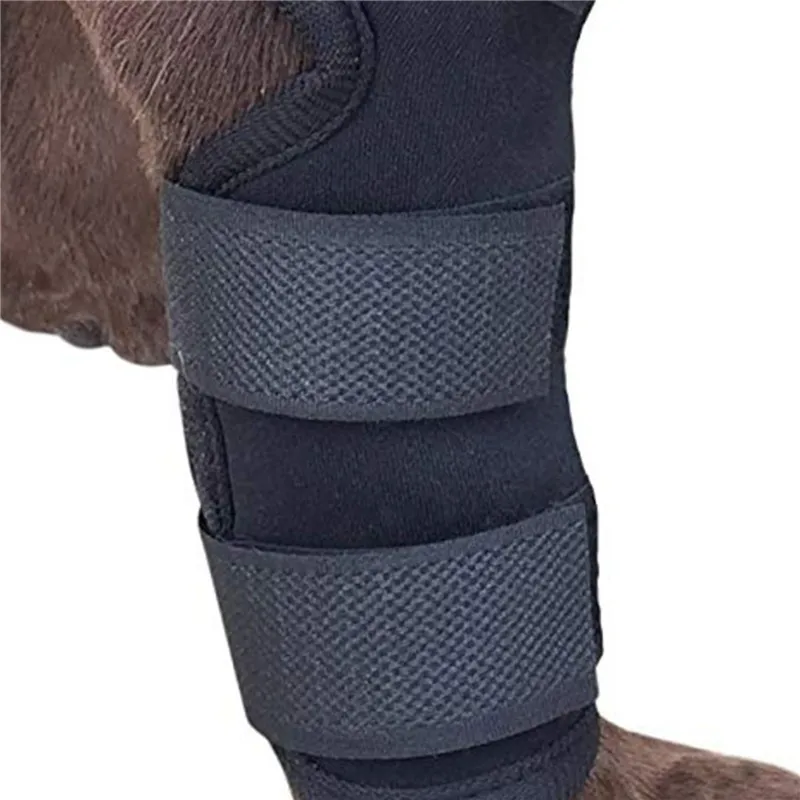 1Pair Pet Protectors Dog Support Brace For Leg Protectors Instep Leg Thai Boxing Pet pet leg protector