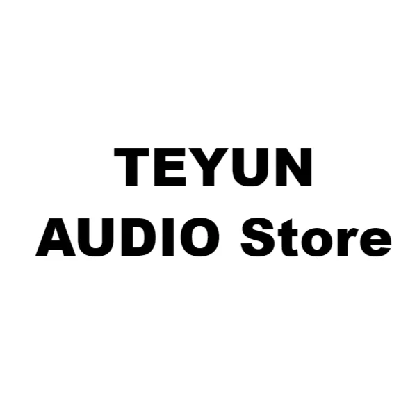 TEYUN AUDIO Store