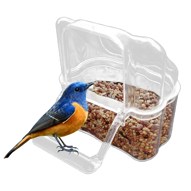 Cage d'alimentation à oiseaux en plastique Transparent et Durable, 1 pièce,  accessoires pour graines de