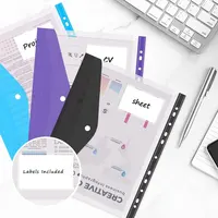 12pcs six-color file organizer, 11-hole plastic expanding folder for 2/3/4 ring binders with snap closures and blank labels. 3
