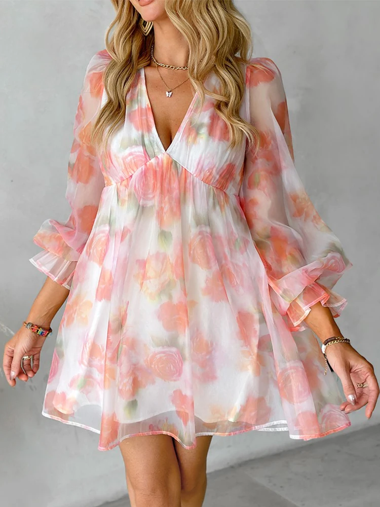 

Floral Print Long Sleeve Sheer Mesh Casual Dress