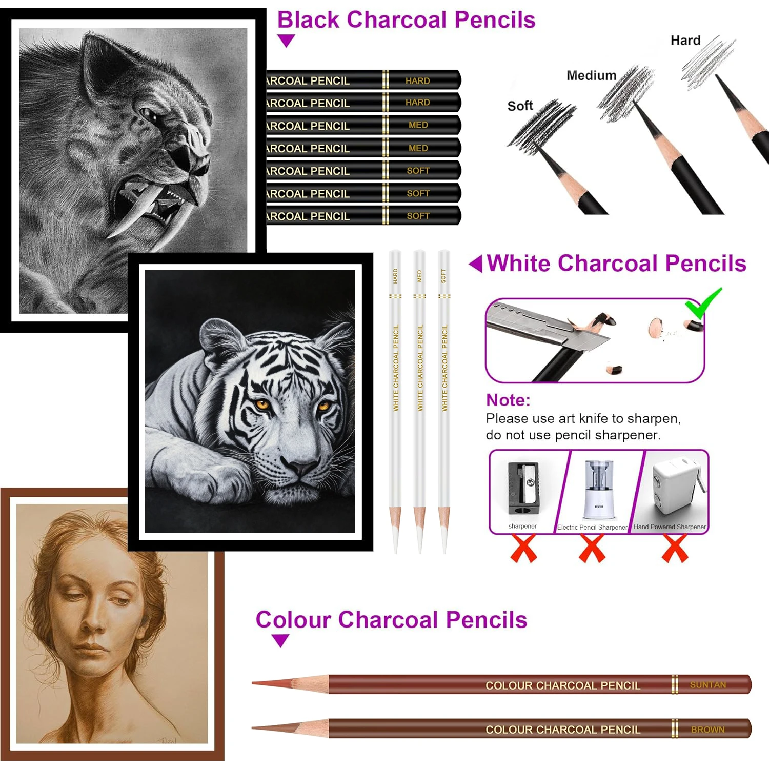 Professional Colored Charcoal Pencils Drawing Set,12 Pieces Pastel Chalk Pencils for Sketching, Shading, Blending, Portrait. 3