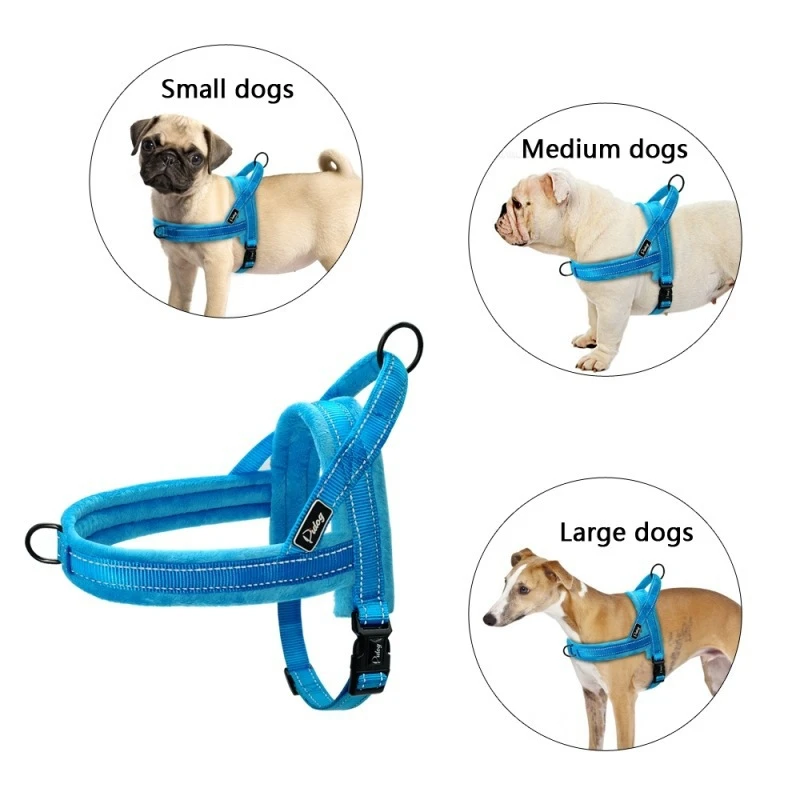Best Pull Dog Harness Small Dogs Harness Vest Dogs Blue Pull Dog Harness Medium Collars