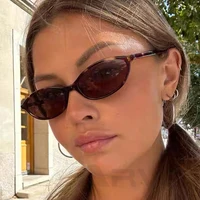 Lunettes de soleil marron léopard pour femmes, monture petite, style rétro ovale, de marque tendance 2