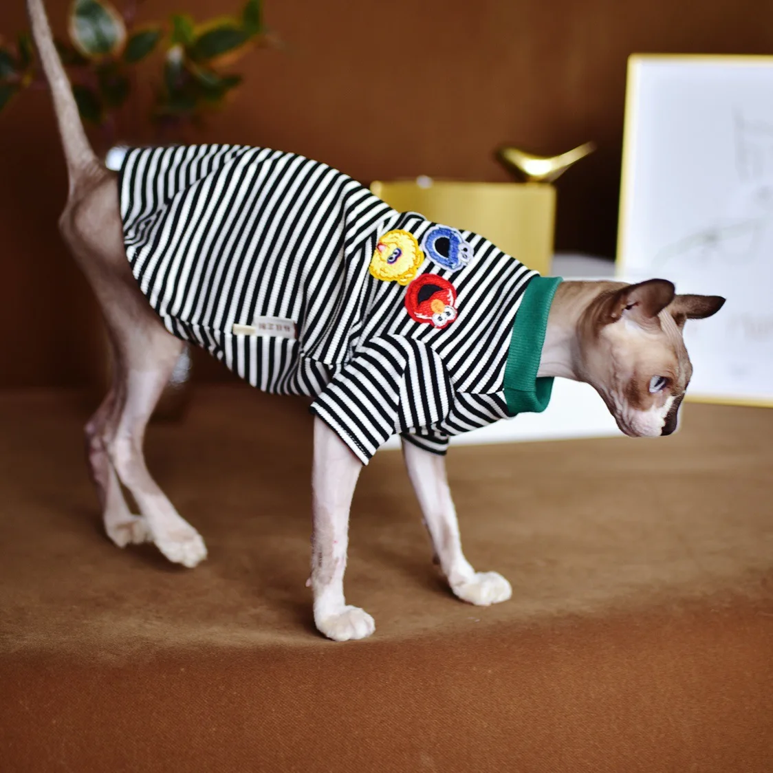 

Hipster summer striped sphinx hairless cat shirt pet clothes