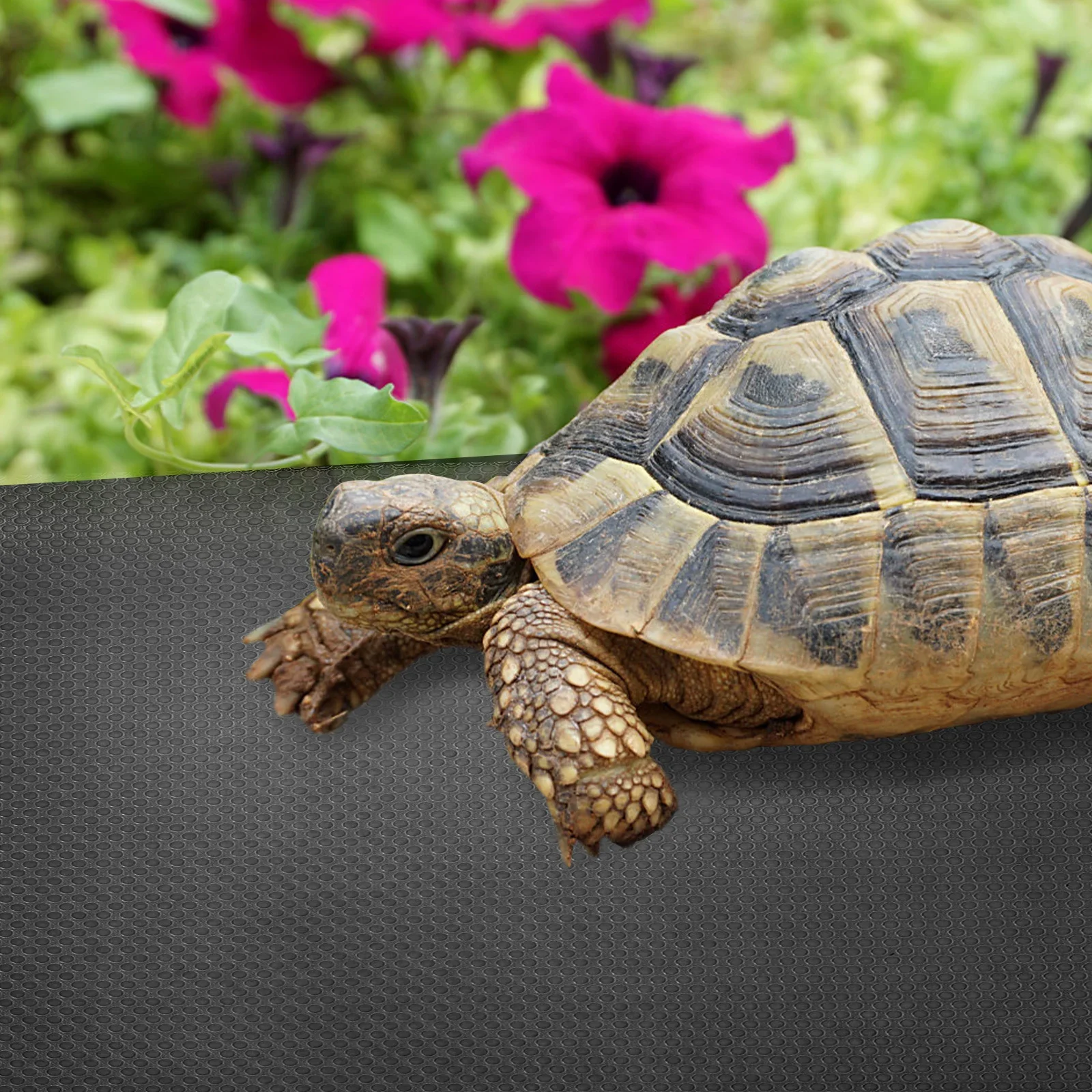 150x45cm 파충류 카펫 테라리움 기초 표범 거미 탱크 액세서리 뱀 침구 EVA 소재 부드럽고 오래 지속되는 내구성