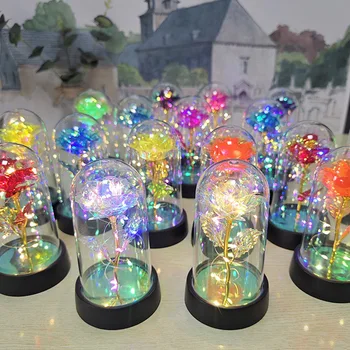 Rose LED Light Gift 1