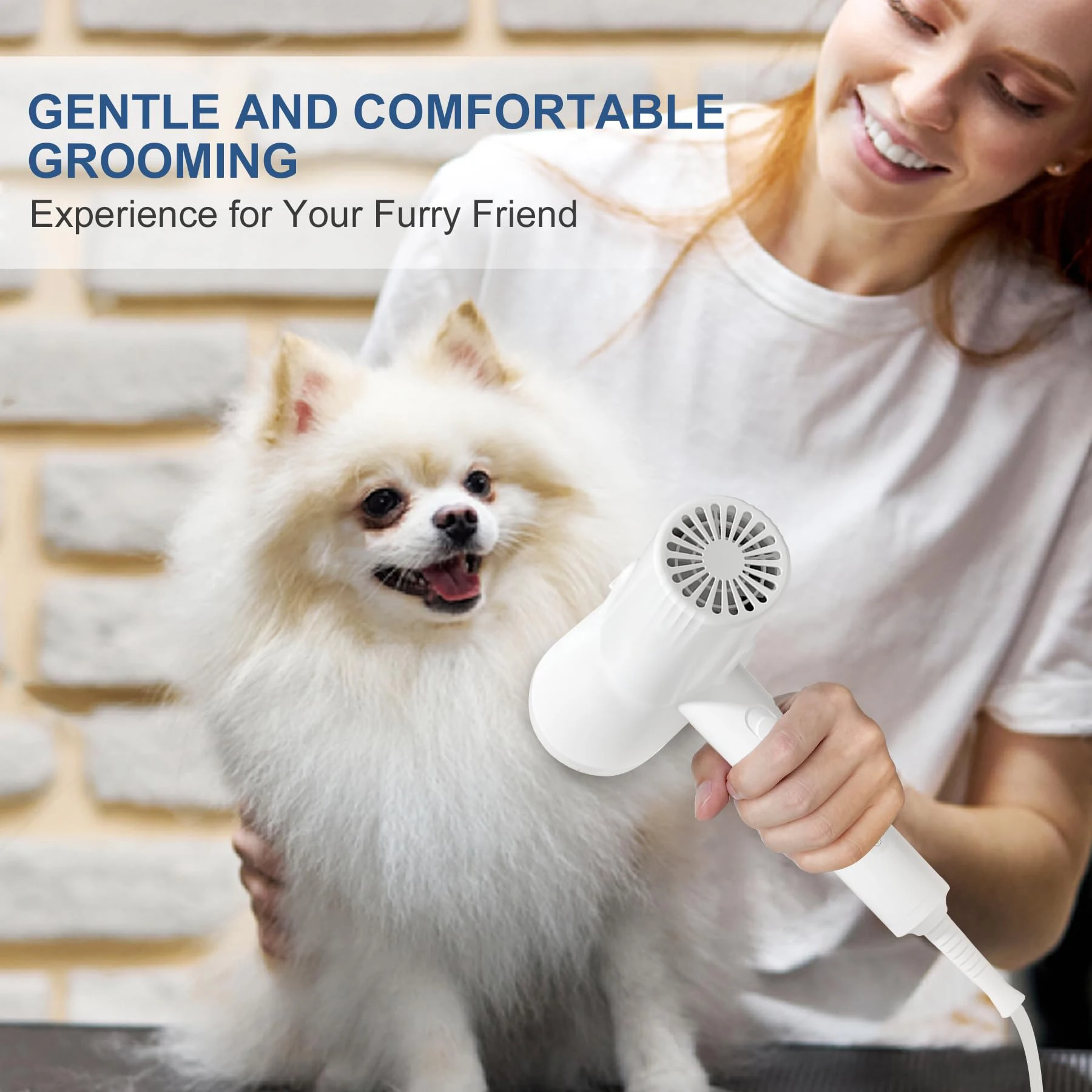 2-in-1 Dog Dryer and Brush-Pet Grooming Dryer with Overheating Protection 3 Blowing Modes Slimmer Handle Low Noise for Dog Cat pet hair dryer