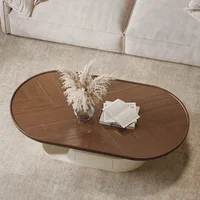 Table basse élégante, style nordique, luxe moderne, chic, pour espace de vie, meubles de salon 5