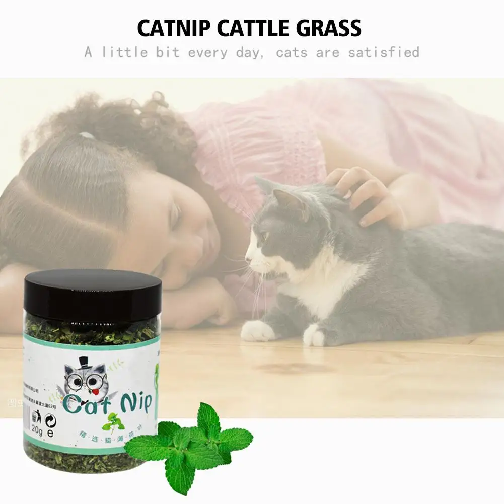 20g Catnip Cattle Grass Mint Taste Funny Cat Toy Interactive Cat Toys Pet Supplies