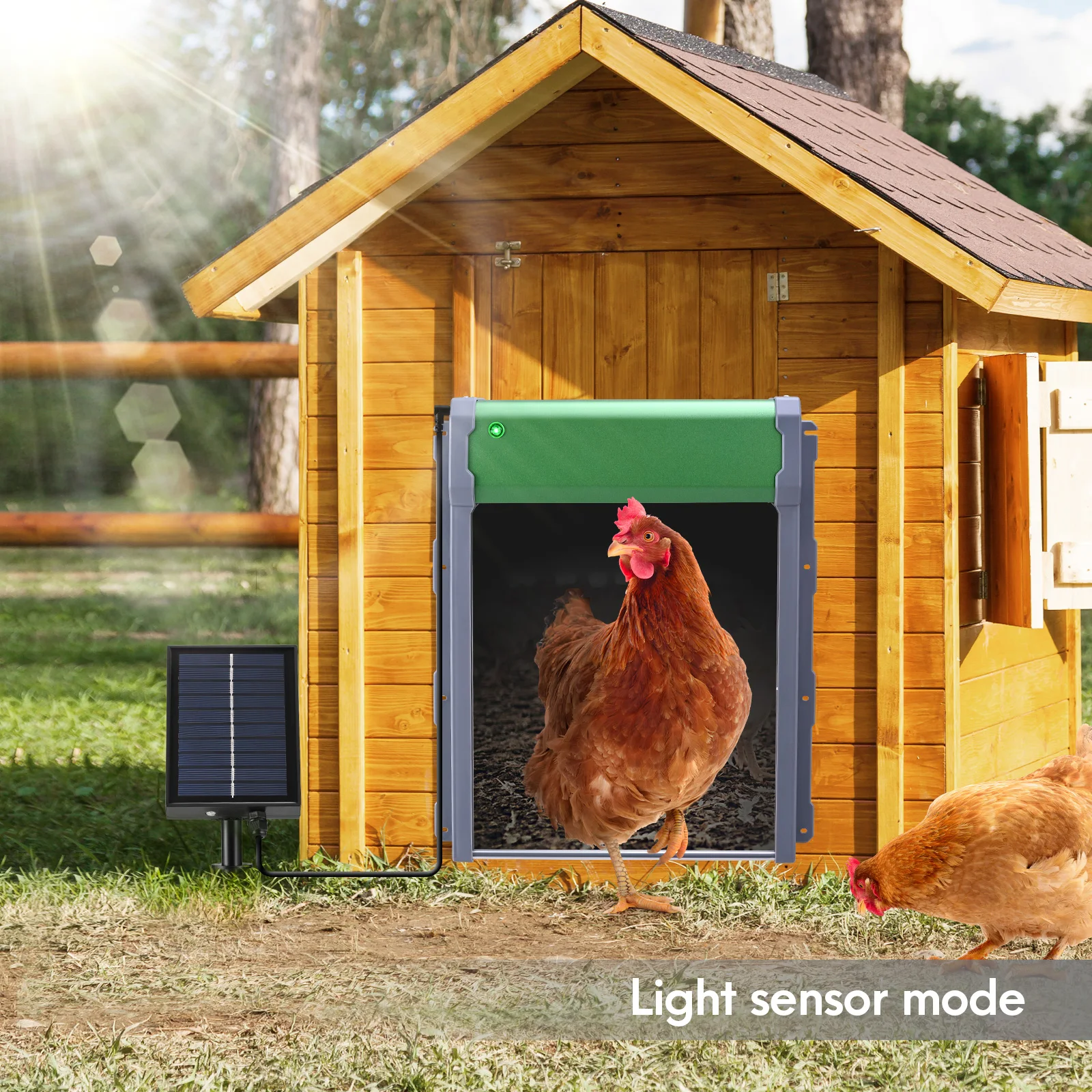 Upgrade Automatic Chicken Coop Door  Remote Control With Solar Panels Chicken Coop Hen House Intelligent Waterproof Door Farming