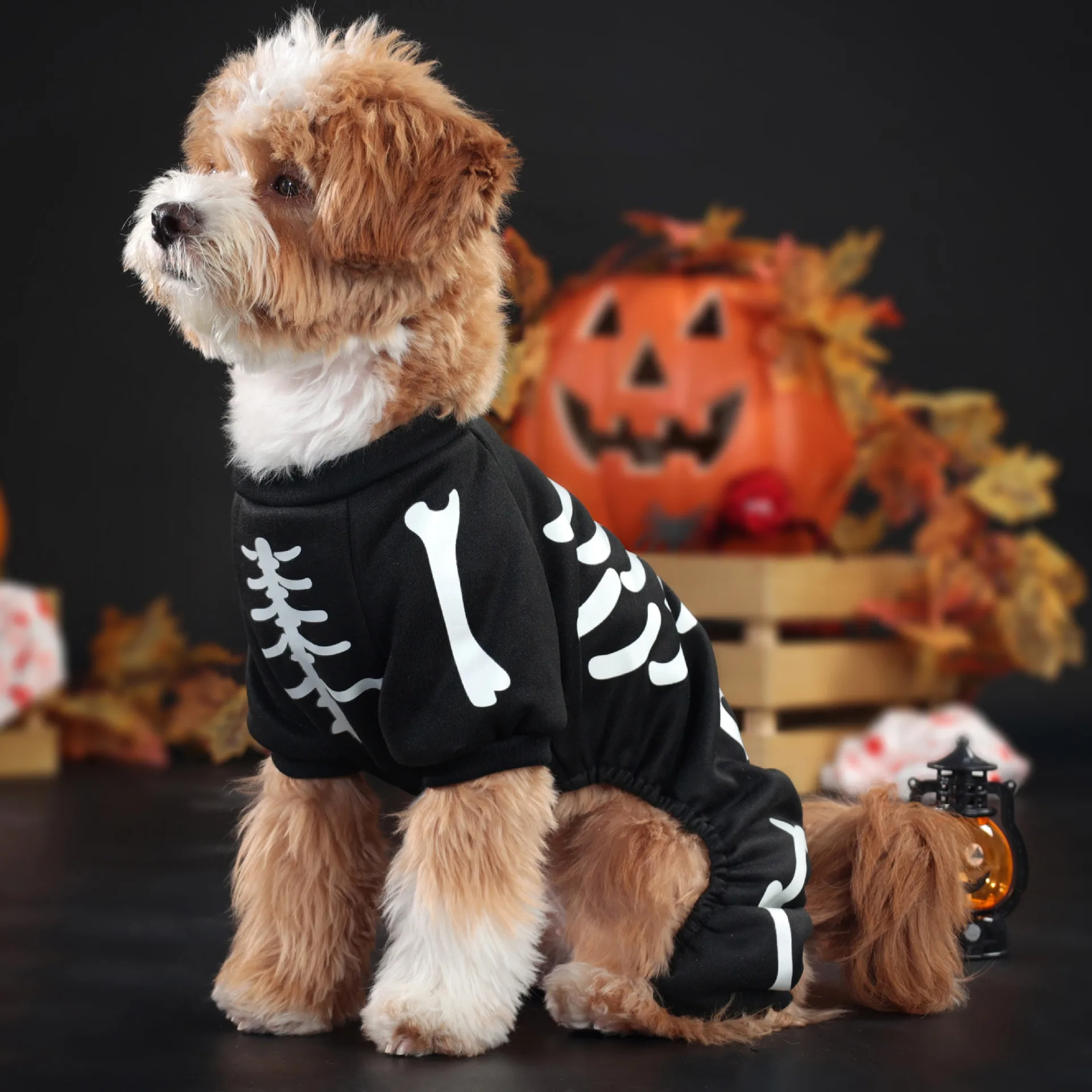 Combinaisons Fluorescentes pour Petits Chiens - Os de Crâne - Sweat à Quatre Pattes - 2025 - Vêtement et accessoires pour chiens - Doglovedesign