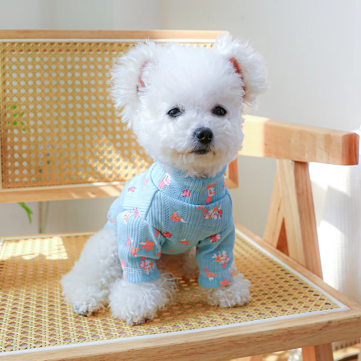 PETCIRCLE-Pull floral pour chien, vêtements pour animaux de compagnie, costume, chemise, manteau, fournitures, chiot, chat, toutes saisons, petit, moyen